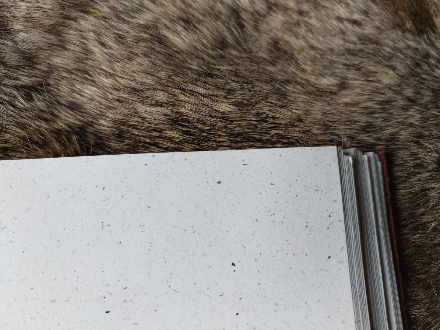 détail du papier recyclé avec morceaux de fibres 120 g fabrication française