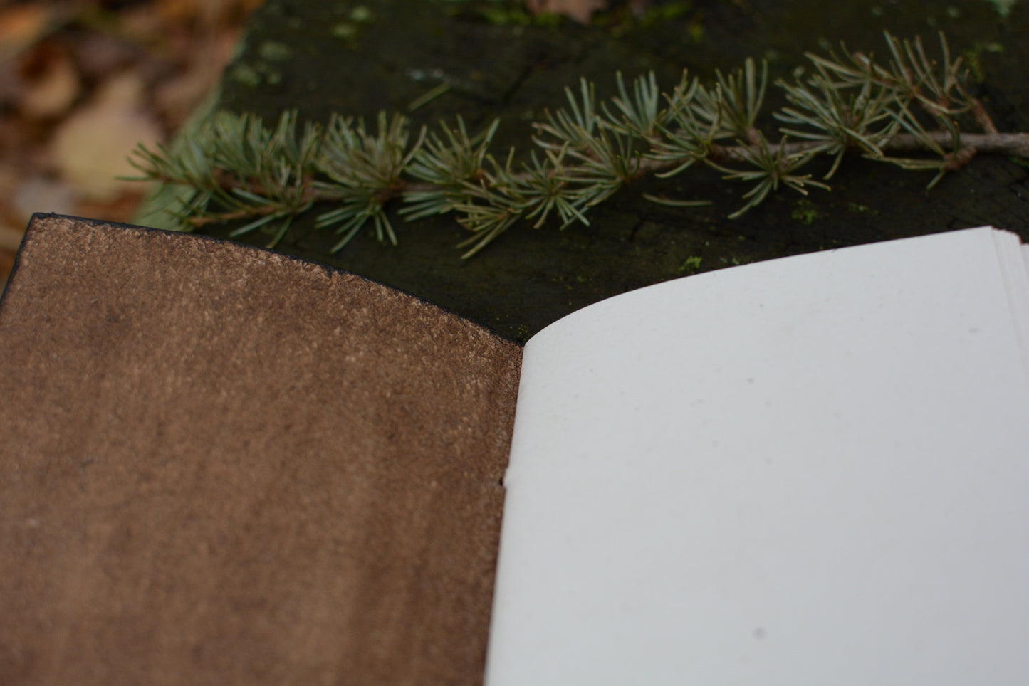 Carnet en cuir avec motif celte lyre