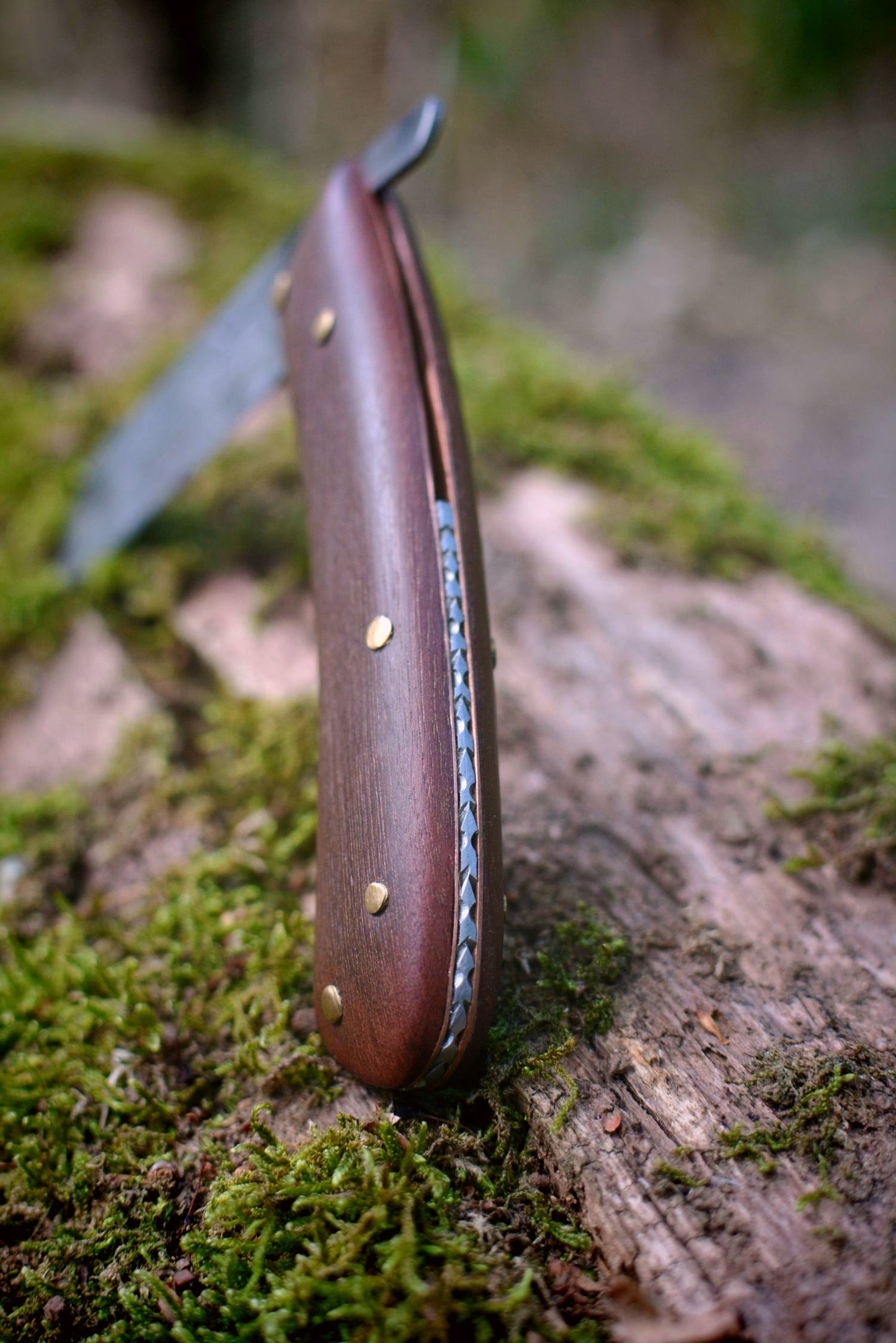 L'Andégave - Couteau pliant en acajou