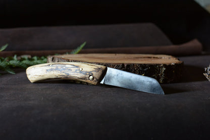 Couteau pliant Andégave totalement déplié – lame pied de mouton acier XC75 et hêtre échauffé