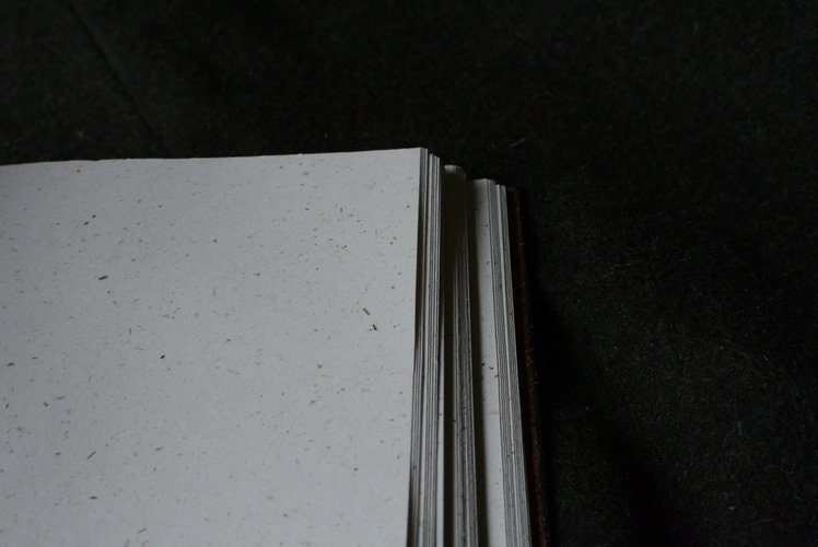 Carnet en cuir dragon viking